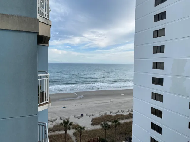 Vitamin Sea Properties