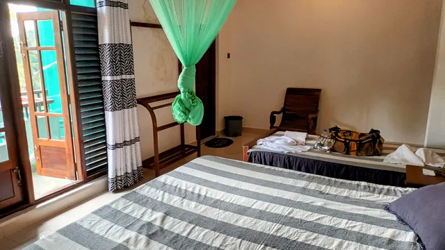 Southern Entry Dickwella