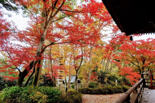 YoukokujiTemple Okunoin