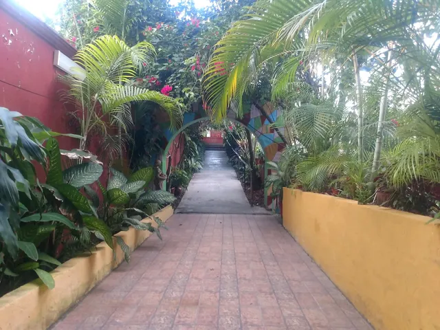 HOTEL LA QUINTA DE LOS LEONES desde 500.00 pesos sencilla temporada baja, no aplica vacaciones y cumbre Tajín