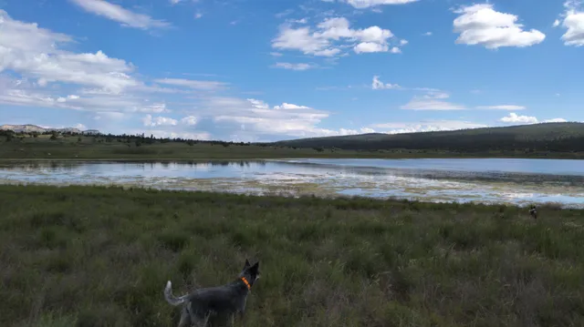 Jicarilla Apache Nation