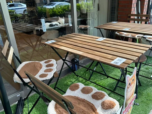 BAKENEKO CAFE 化猫茶屋