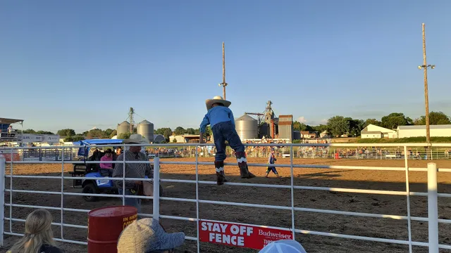 Irene Rodeo Association