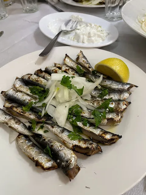 Η Κραυγή του Γλάρου