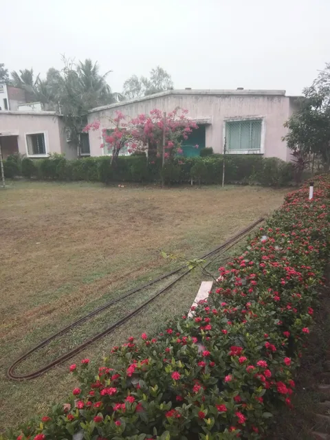 Sundarban Sonar Tari