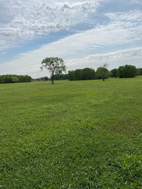 Margaret Jenkins Park