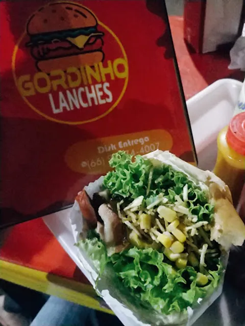 Gordinho Lanches