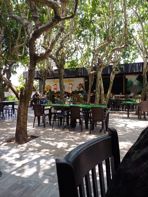 Los 3 Cerditos San Rafael Cedros