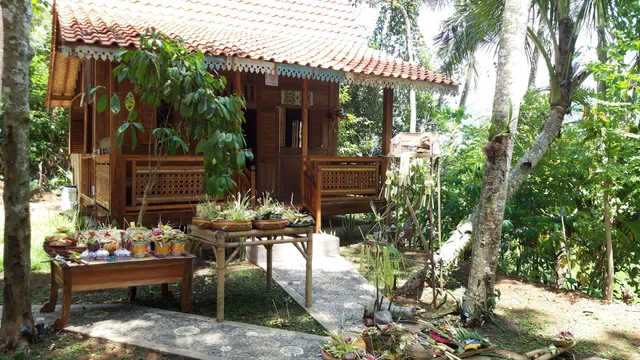 Organic Farm and wooden bungalow in rice field