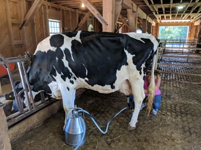 Pineland Farms Visitors Center - Smokehouse