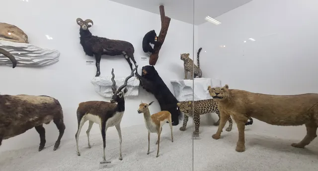 Pakistan Museum of Natural History