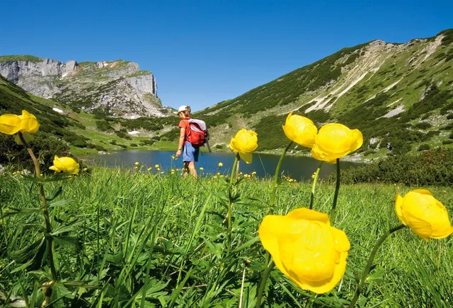 Ferienappartements Meixner