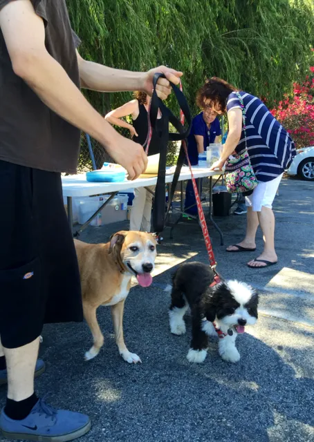 Low Cost Pet Vaccines Whitnall Off Leash Dog Park NORTH HOLLYWOOD/NO APPOINTMENT EVER NEEDED.