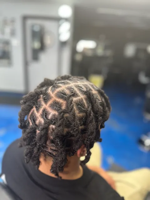 Loc'd In Fades & Braids
