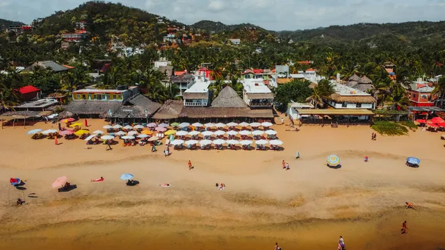 Black Mamba Beach Club