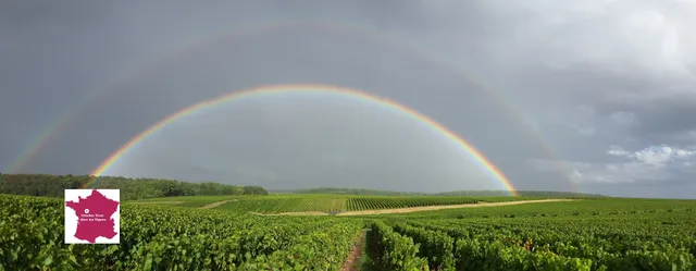 Rendez-Vous dans les Vignes