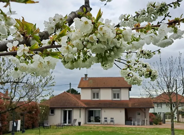 Chambres d'hôtes - Le chemin des Bérands - Renaison