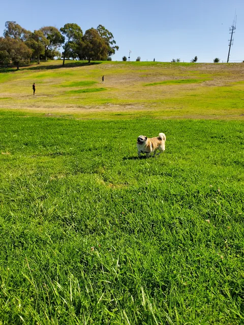 Kenneth Hahn Disc Golf Course