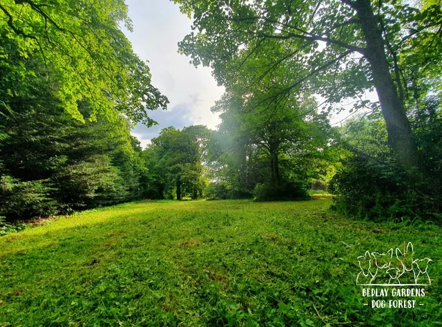 Bedlay Gardens Dog Forest