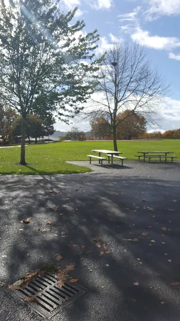 Maple Wood Playfield