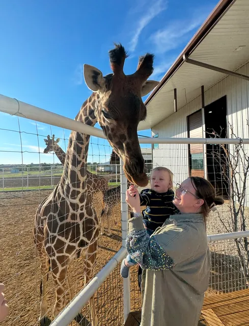 Highpoint Performance Horses