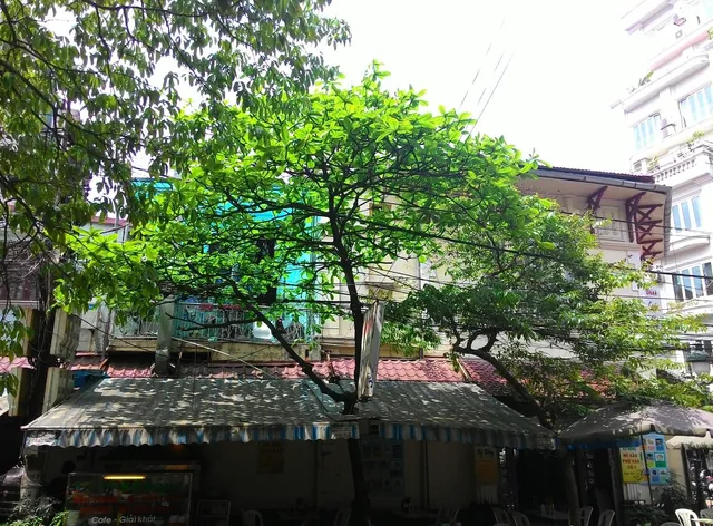Hanoi Street Hotel