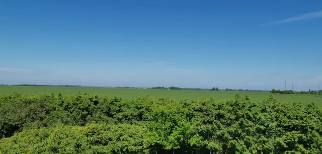 Ferienwohnung am Feldrain