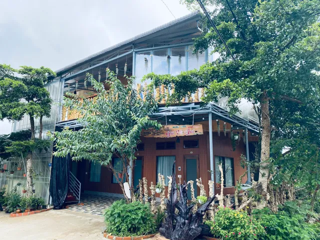 Homestay Gió Và Gió Măng Đen