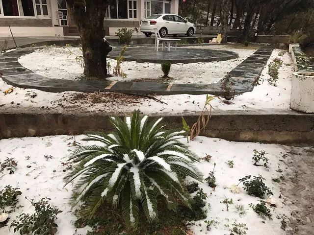 Satobari Greens Homestay