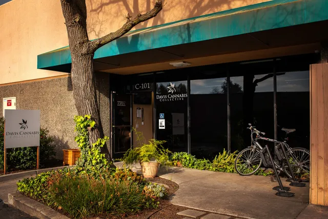 Davis Cannabis Collective - Dispensary and Delivery
