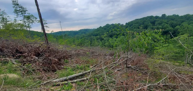 State Game Lands Number 331