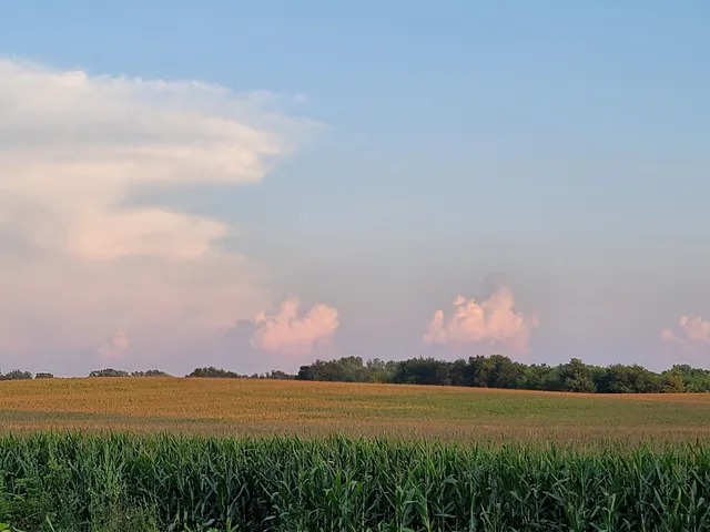 Token Creek Dog Park