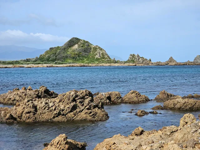 Island Bay Beach - Dog Exercise Area