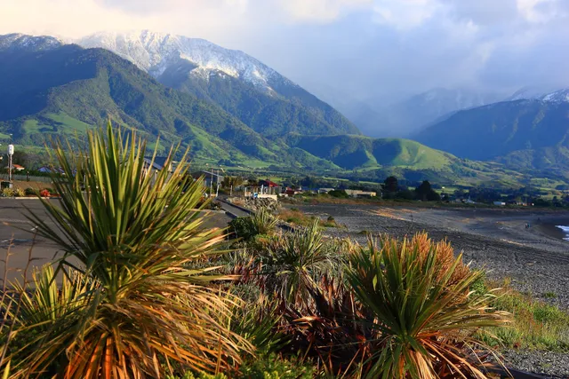 Kaikoura i-SITE Visitor Information Centre