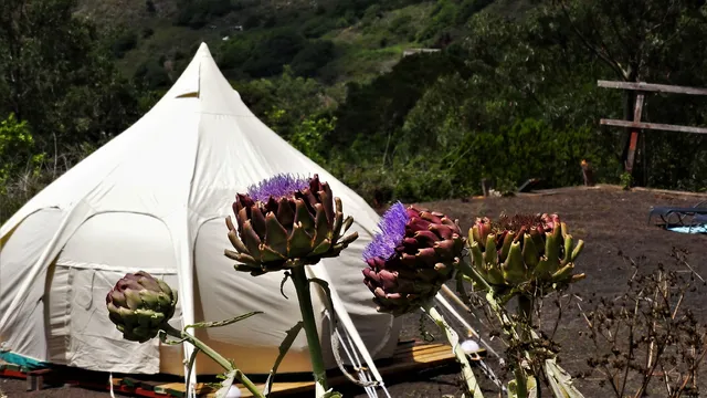 Lotus yurt