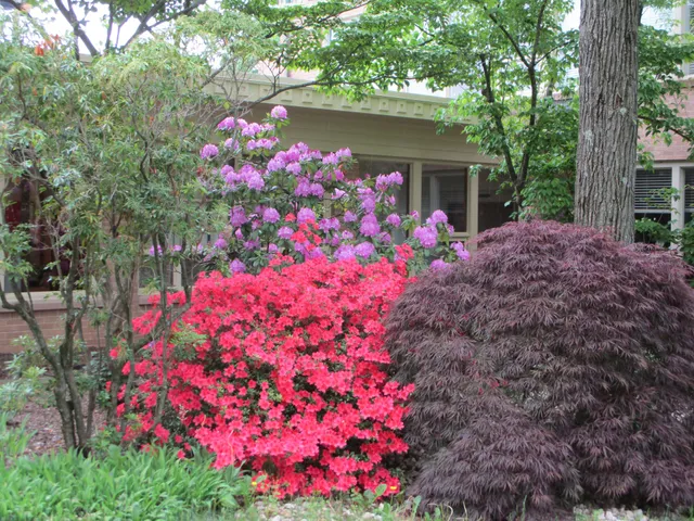 First Unitarian Church