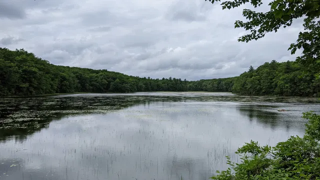Mass Audubon Burncoat Pond Wildlife Sanctuary