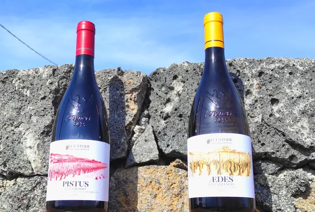 I Custodi delle vigne dell'Etna