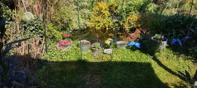 KGV “Landfrieden” e.V.