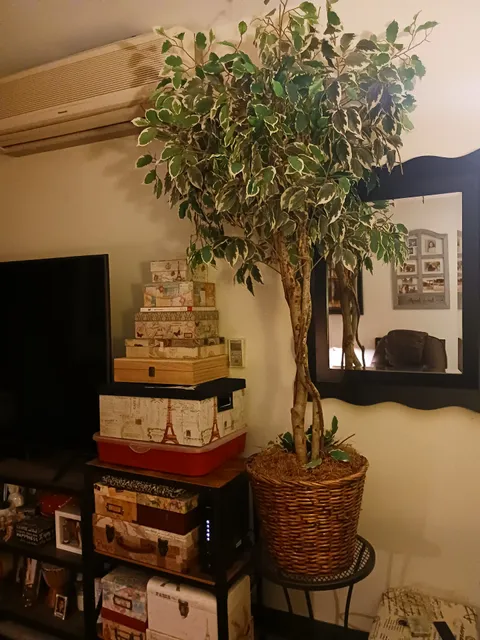 Miriam's Furniture Consignment