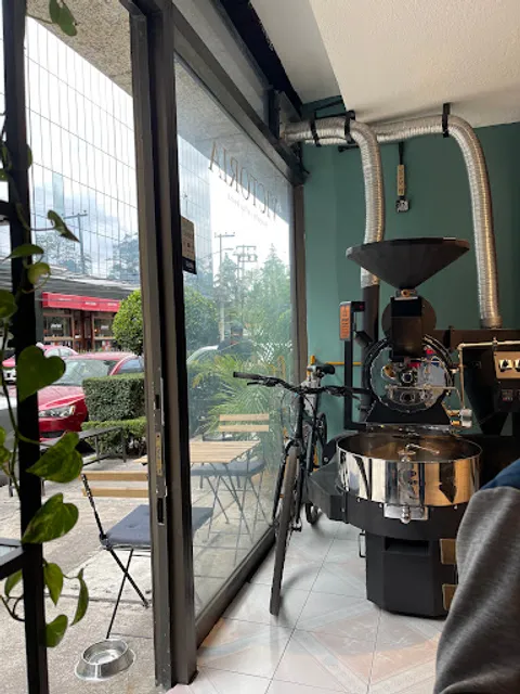 Victoria Specialty Coffee Club