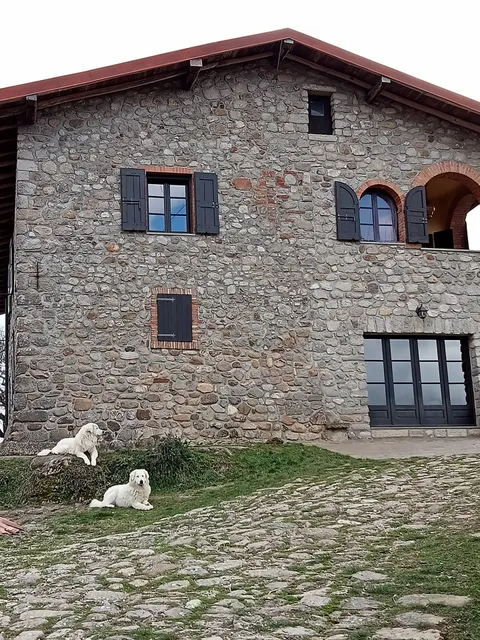 Podere I Casaloni La casa nel bosco