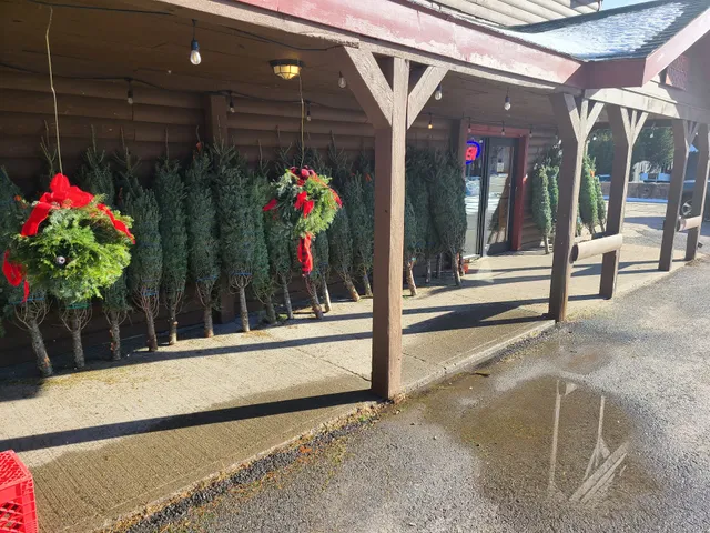 Larkins Junction Depot