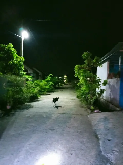 Komplek Guru BTN Taman Baru Mataram