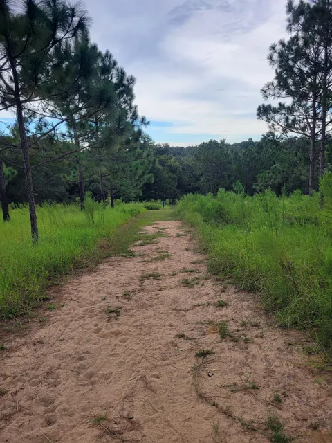 Hidden Waters Preserve