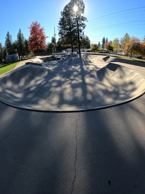 Millennium Skate Park