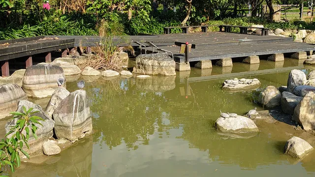 NTU Ecological Pond