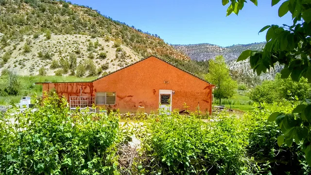 Clucking It Up Farmstead