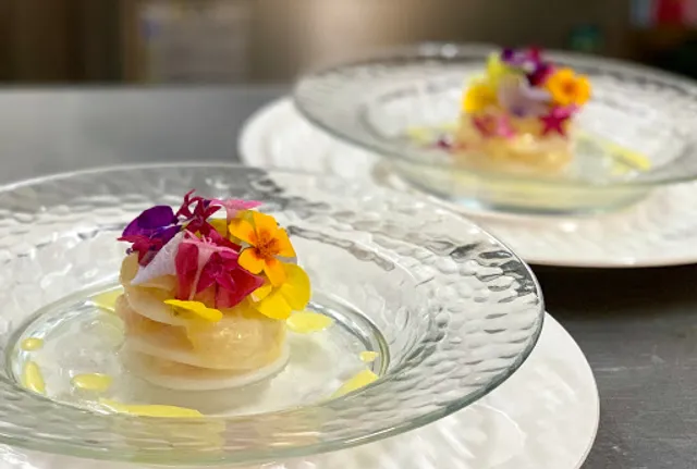 カシュカシュ（ＣＡＣＨＥ・ＣＡＣＨＥ）