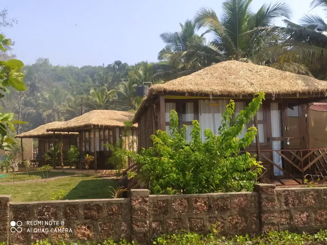 Bluemoon by Neelchand